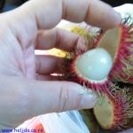 Šri lanka i Heljda 2016