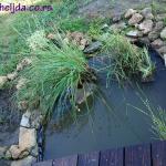 Moja kućica i bašta u Somboru 2014