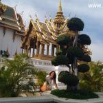 bangkok, tajland, koh phangan, koh tao, koh samui, chiang rai, roza