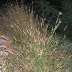 Zalazak uoči punog meseca 31.10.2012 sombor