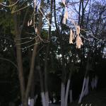 Zalazak uoči punog meseca 31.10.2012 sombor