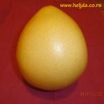 heljdin slatki pomelo