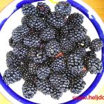 Kupine iz Rozine organske bašte