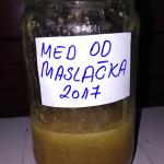 med od maslačka