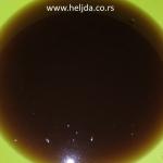 tinktura od maslačka