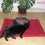 Zabuton jastuk-prostirka za meditaciju