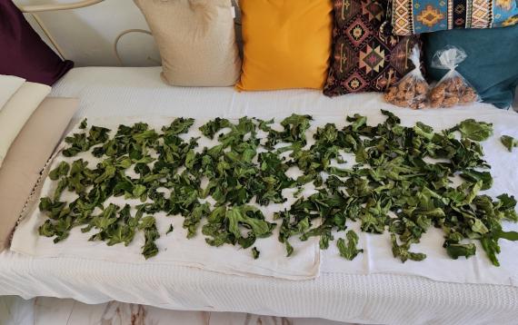 sušeni list od smokve-čaj