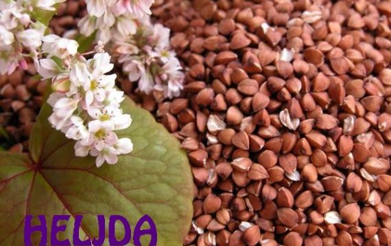 Heljda i njene nutritivne vrednosti