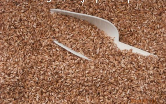 ljuspa od organske spelte