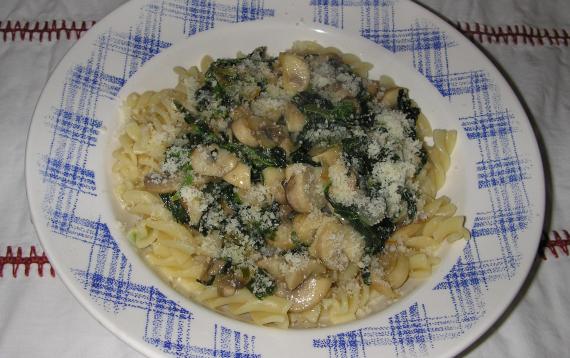 Testenina sa štirom i šampinjonima